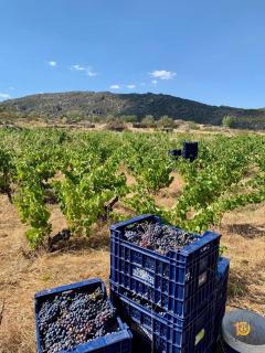 Villa Completa con Piscina y BBQ y Cata de vinos gratis en Bodegas - 6