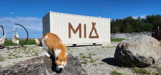 Mia Glamping - 6