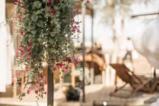 Mia Glamping - 2