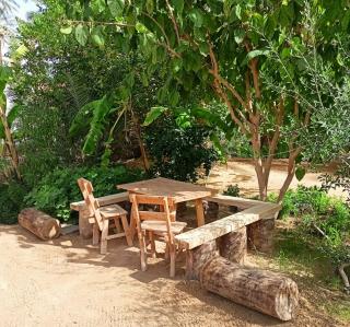Dar Hamouda - 0