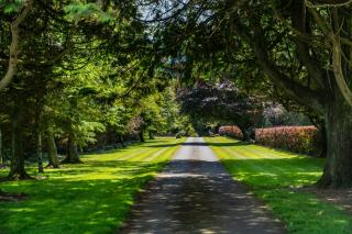 Pallastown House Courtyard Kinsale - 7