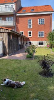 Leiti Rentals - 9