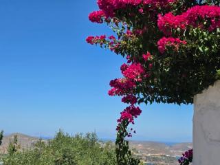 Smaragdi Traditional Mansion in Chora - 4