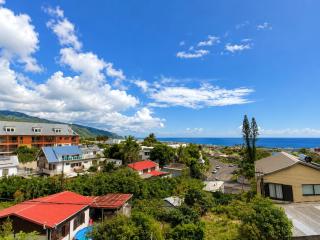 Villa Rosana - Ste Clotilde - jardin - vue mer et ville - 4