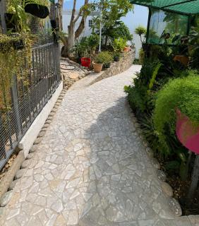 Villa Rosana - Ste Clotilde - jardin - vue mer et ville - 3