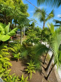 Villa Rosana - Ste Clotilde - jardin - vue mer et ville - 1