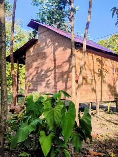 Manglar Eco Resort - 9
