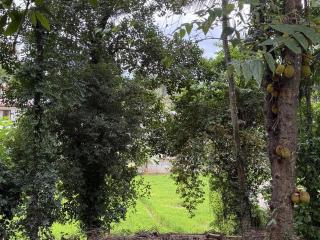 Charming House in Kandy - 3