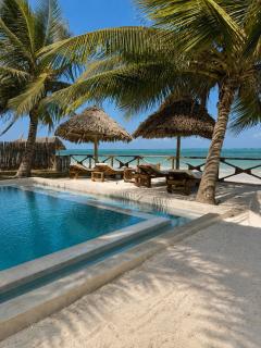 Amani Beach Villa- Bwejuu - 7