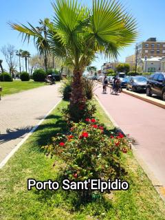 La Picara - 5