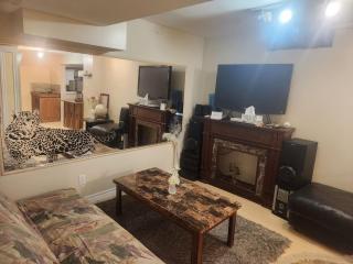 Quiet Basement in Markham - 1
