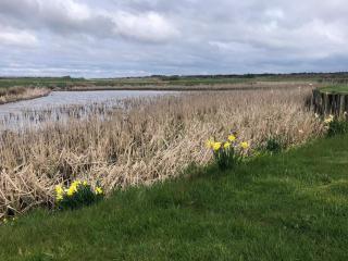 5 person holiday home in Ringkøbing - 2