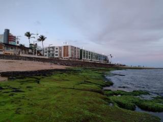 Waterfront Studio with a Privileged Ocean View - 8