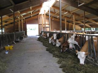 Sollingerhof Familie Hogger - 2