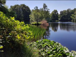 HasseBassie - 1