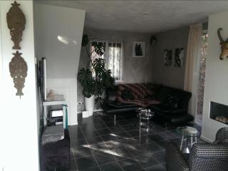 HasseBassie - 2