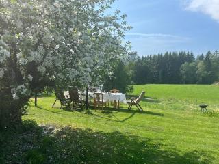 Cozy cottage with private sauna - 5