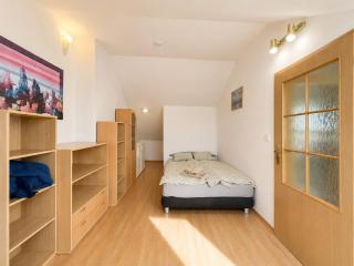 Uresova Residence s terasou a 3ložnice - 9
