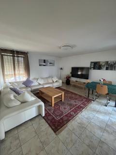 Spacious accommodation near Strasbourg - 6