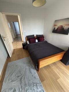 Spacious accommodation near Strasbourg - 5