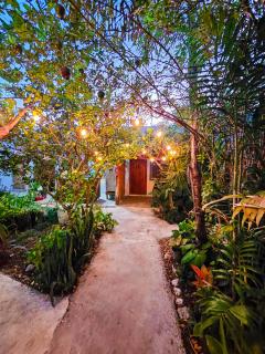 Hotel Las Palmas - Near Lagoon - Bacalar - 7
