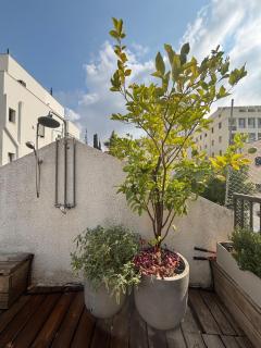 Dream Location 3 bedroom duplex Loft - 2