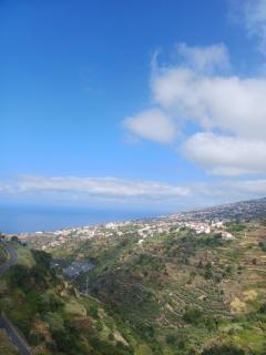 Madeira Pura - 9