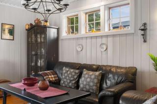 TH209- Ski-in out cabin in Trysil with mountain feel - 5