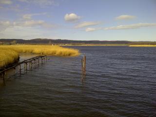 Ferienhaus Boddenkiek mit Wasserblick in Seedorf - Seedorf - 6