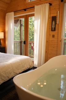 Treehouse Place at Deer Ridge Ole Mill - Snohomish - 6