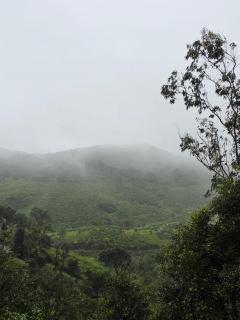 Arrano Vista - 9