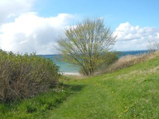4 star holiday home in Brenderup Fyn - 4
