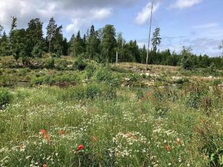 4 person holiday home in TRANÅS-By Traum - 3