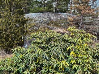 6 person holiday home in TYRESÖ-By Traum - 7