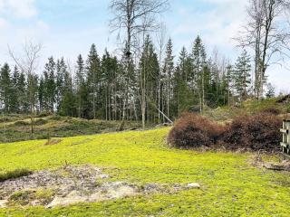 6 person holiday home in PRÄSSEBO-By Traum - 7
