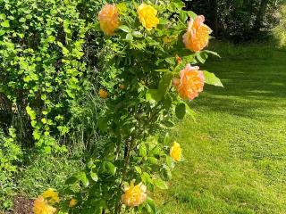 6 person holiday home in LIDKÖPING-By Traum - 3