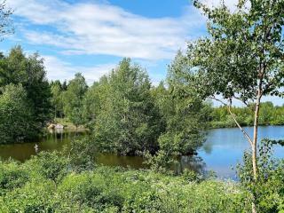 11 person holiday home in Ödeshög-By Traum - 3