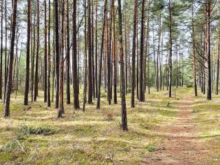 4 star holiday home in YNGSJÖ-By Traum - 4