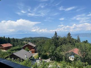 Belle appartement avec cheminée près des pistes - 6