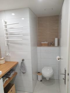 Meylan, T1 cosy & clim, proche Inovallée CHU, UGA - 1