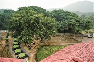 Spangle Wings Resort - 8