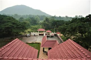 Spangle Wings Resort - 3