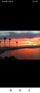Spacious studio, terrace, pool, elevator, beaches - 4