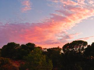 Forest Retreat Naturally Cool, Stunning Views, privacy and an 80M2 Extra-Large Swimming Pool - 3