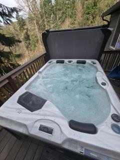 Dovetail Den - Tranquil with Hot Tub and Air Conditioning - 7