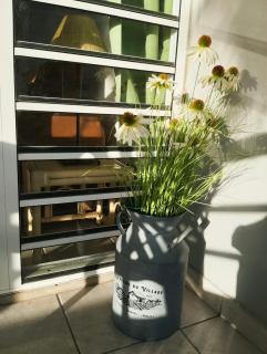 Studio Ti-Cozy - 8