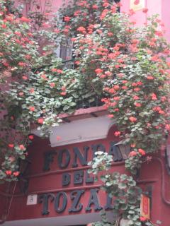 Fonda Del Tozal - Teruel - 5