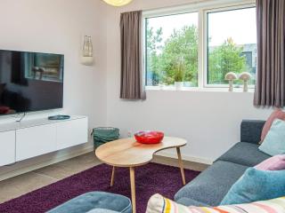 Luxury Spa Retreat in Romo - 3