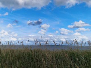 6 person holiday home in Grenaa-By Traum - 1