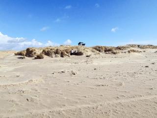 4 person holiday home in Fanø-By Traum - 4